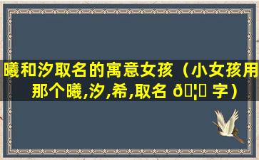 曦和汐取名的寓意女孩（小女孩用那个曦,汐,希,取名 🦟 字）